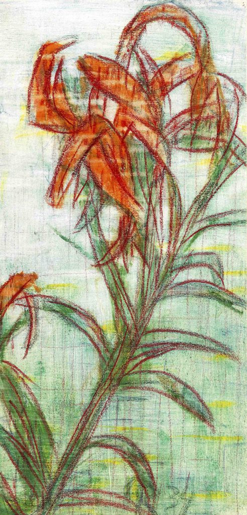 Christian Rohlfs-Feuerlilie (Orange lily)